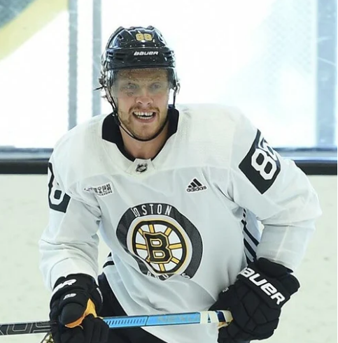 David Pastrňák